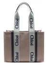 Woody Medium Tote Bag Green Blue - CHLOE - BALAAN 5