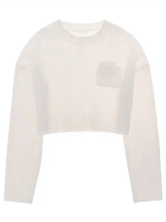 C Aria Crew N05HW707 ZJB Caria Crop Cable Knit Sweater - HELMUT LANG - BALAAN 1