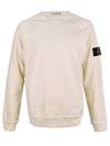 Logo Wappen Washed Raglan Sweatshirt Beige - STONE ISLAND - BALAAN 2