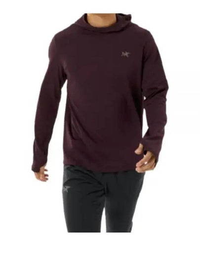 Cormac Heavyweight Hooded Long Sleeve T-Shirt Phantasm - ARC'TERYX - BALAAN 2