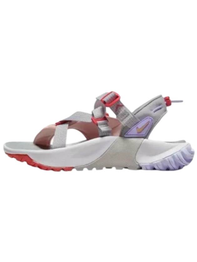 Oneonta Sandals Silver - NIKE - BALAAN 1