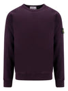 Brushed Cotton Fleece Garment Dyed Crewneck Sweatshirt Dark Burgundy - STONE ISLAND - BALAAN 1