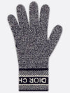 Logo Gloves Grey - DIOR - BALAAN 3