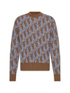 Oblique Wool Jacquard Knit Top Blue Brown - DIOR - BALAAN 1