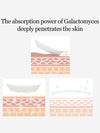 [MIXSOON] Galactomyces Toner Pad (60 Sheets) - MIXSOON - BALAAN 5