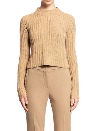 Aloa Wool Cashmere Cropped Knit Top Brown - MAX MARA - BALAAN 2