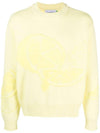 The Still Life Knit Top Limoncello - HOUSE OF SUNNY - BALAAN 1