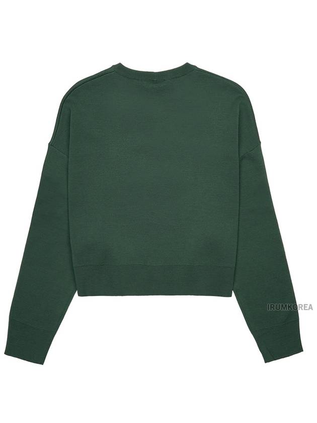 Sir Cropped Virgin Wool Knit Top Green - MAX MARA - BALAAN 3