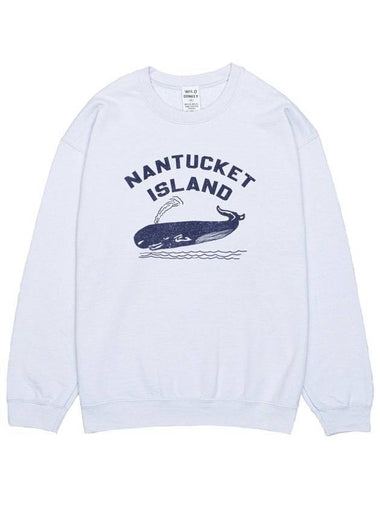 Nantucket Graphic Extra Strong Washed Sweatshirt Washed Sky - WILD DONKEY - BALAAN 1