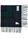 Iconic Tartan Cashmere Muffler Navy Green - JOHNSTONS OF ELGIN - BALAAN 4