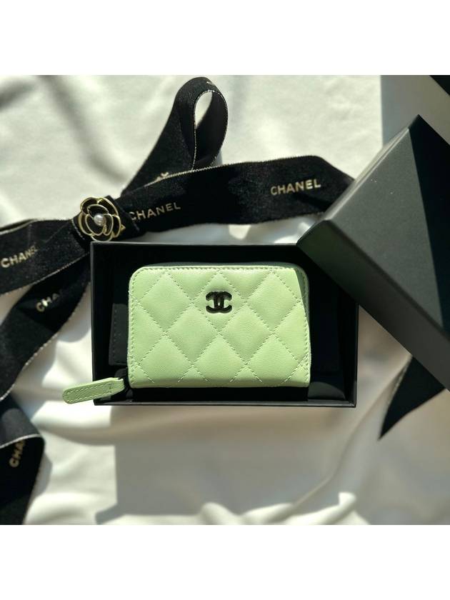 24C Cruise Classic Zipper Card Wallet Coin Purse 3stage Zipper AP0216 - CHANEL - BALAAN 1