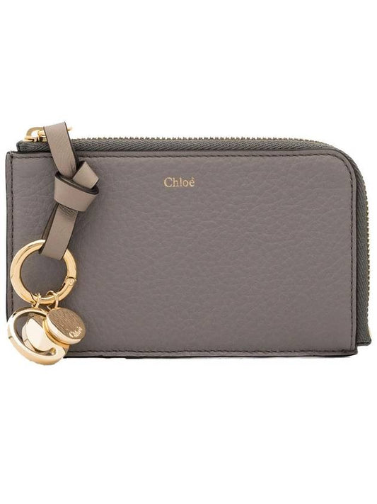 Alphabet Zipper Card Wallet Grey - CHLOE - BALAAN 2