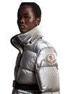 Erault Herault Logo Down Jacket Silver - MONCLER - BALAAN 4