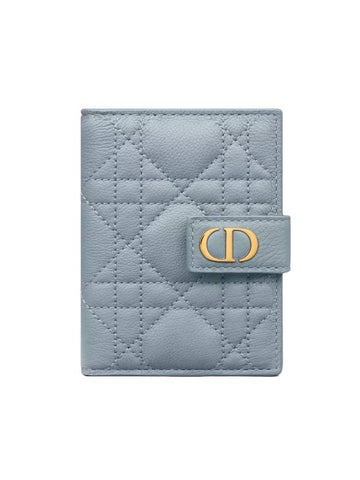 Cargo Vertical Calfskin Card Wallet Cloud Blue - DIOR - BALAAN 1