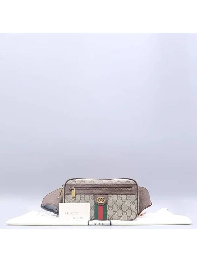 574796 GG Logo PVC Supreme Canvas Ophidia Hip Sack and Cross Belt Bag - GUCCI - BALAAN 1