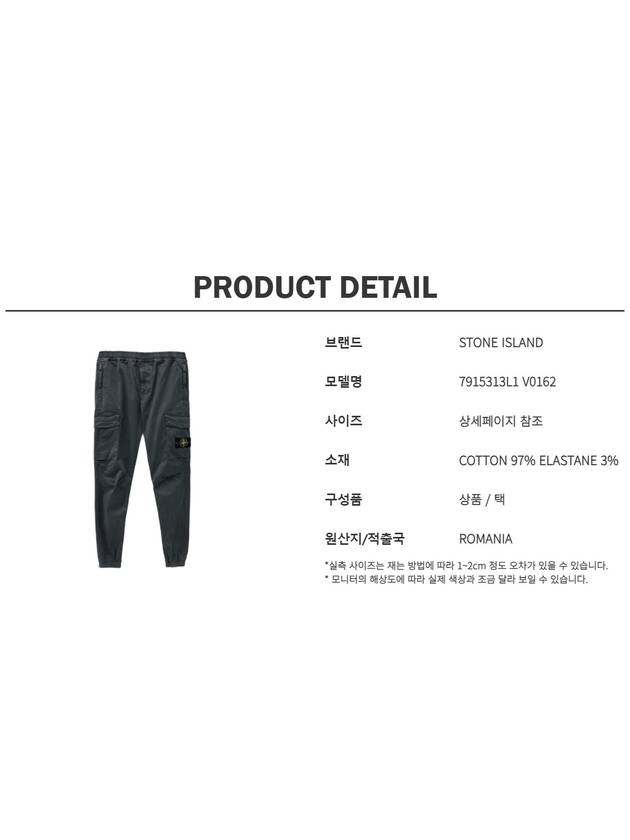 Wappen Patch Cargo Track Pants Grey - STONE ISLAND - BALAAN 6