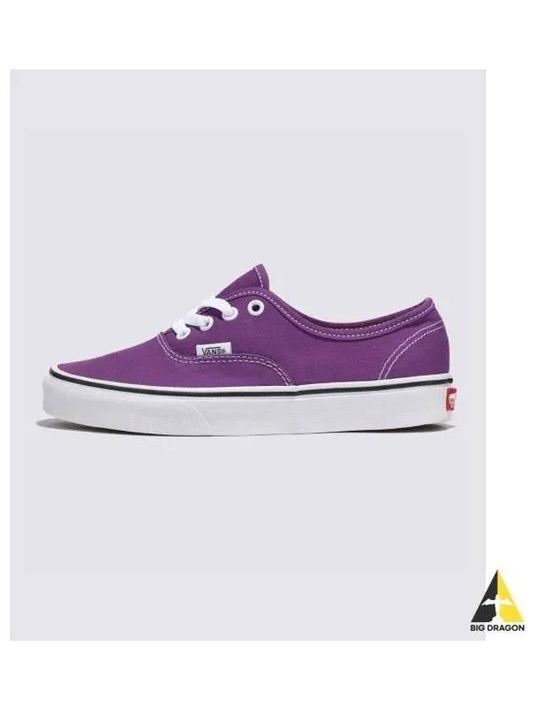 Authentic Color THEORY Purple Magic VN000BW51N81 - VANS - BALAAN 1