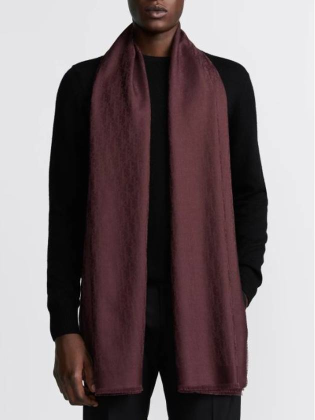 frayed edge scarf - DIOR - BALAAN 3