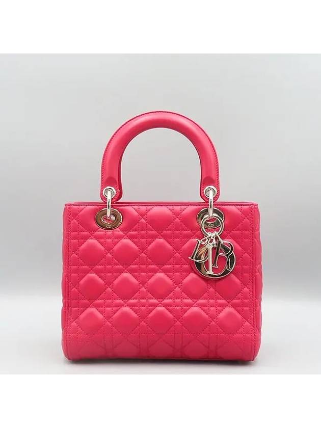 CAL44551 2 WAY bag - DIOR - BALAAN 2