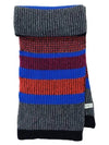 Striped Wool Muffler Blue Red - PAUL SMITH - BALAAN 3