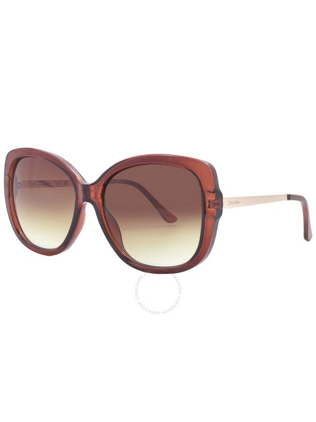 Calvin Klein Brown Gradient Butterfly Ladies Sunglasses CK22548S 210 59 - CALVIN KLEIN - BALAAN 3