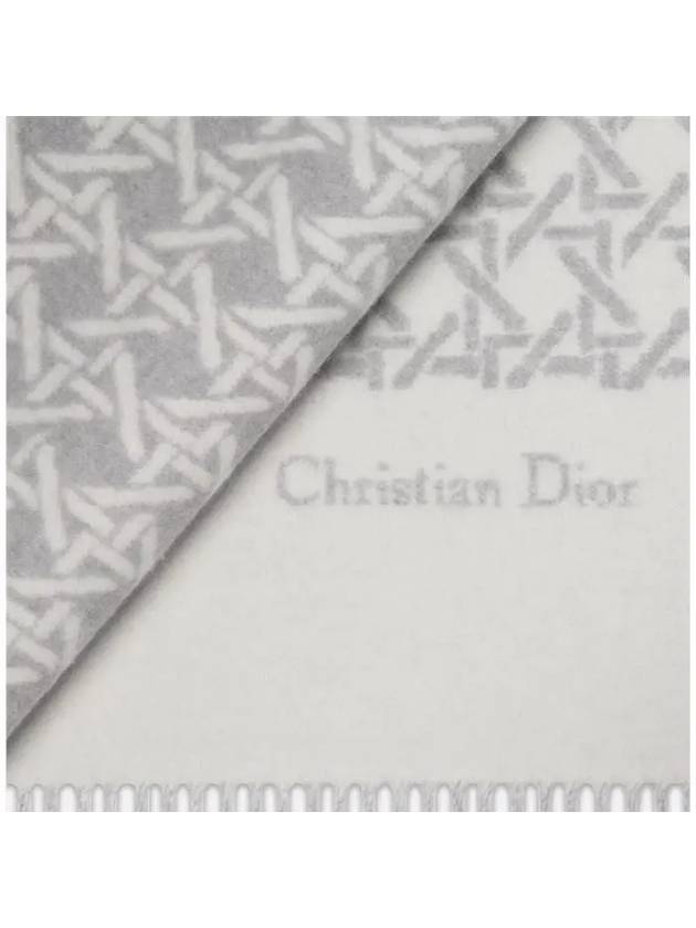 Christian Graphic Cannage Scarf Muffler Shawl 45CAN203I114 C088 - DIOR - BALAAN 3