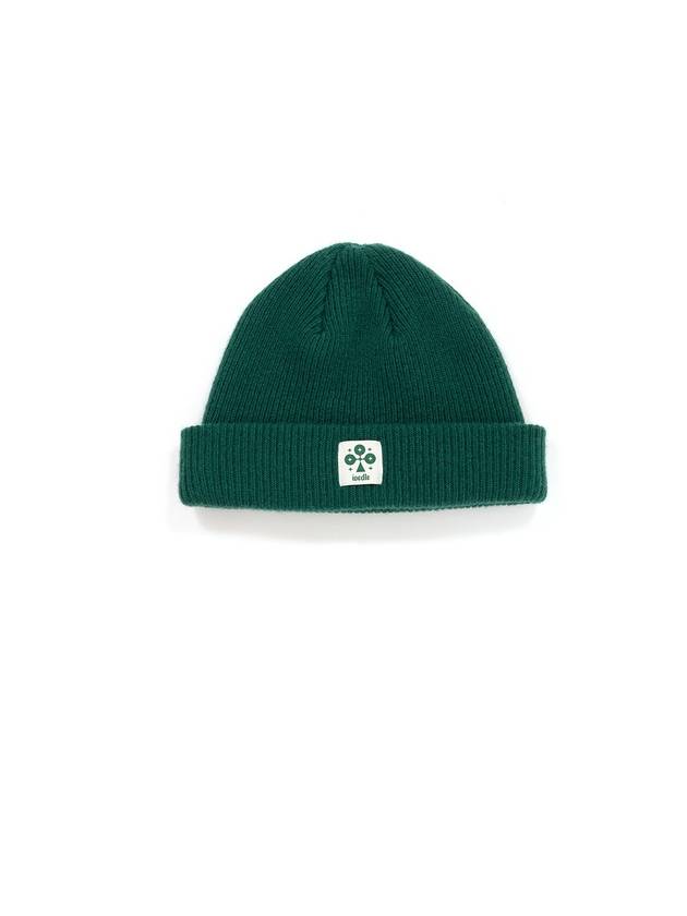 Men's Wool Knit Beanie Green I1WH01GR - IOEDLE - BALAAN 1