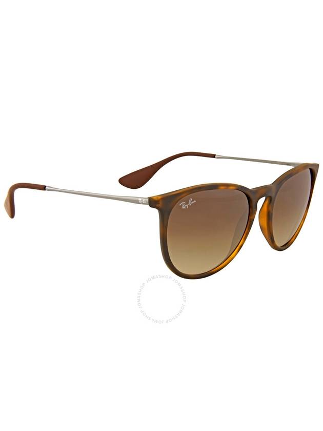 Ray Ban Erika Classic Brown Gradient Phantos Ladies Sunglasses RB4171 865/13 54 - RAY-BAN - BALAAN 3