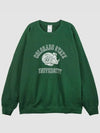 Colorado Sweatshirt FR COLORADO WD075 - WILD DONKEY - BALAAN 2