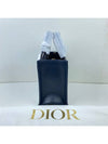 Small Book Tote Blue  Oblique Embroidery Calf Skin - DIOR - BALAAN 5