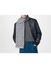 Monogram Classic Scarf Light Grey - LOUIS VUITTON - BALAAN 2