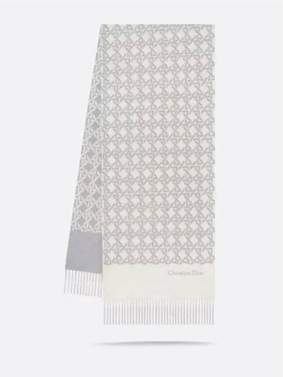 Christian Graphic Cannage Scarf Muffler Shawl 45CAN203I114 C088 - DIOR - BALAAN 2