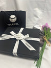 Classic Clutch New Medium Caviar Silver A82545 - CHANEL - BALAAN 6