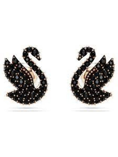 Iconic Swan Stud Earrings Black - SWAROVSKI - BALAAN 1