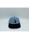 Vintage S Low Pro Ball Cap Light Denim - STUSSY - BALAAN 3