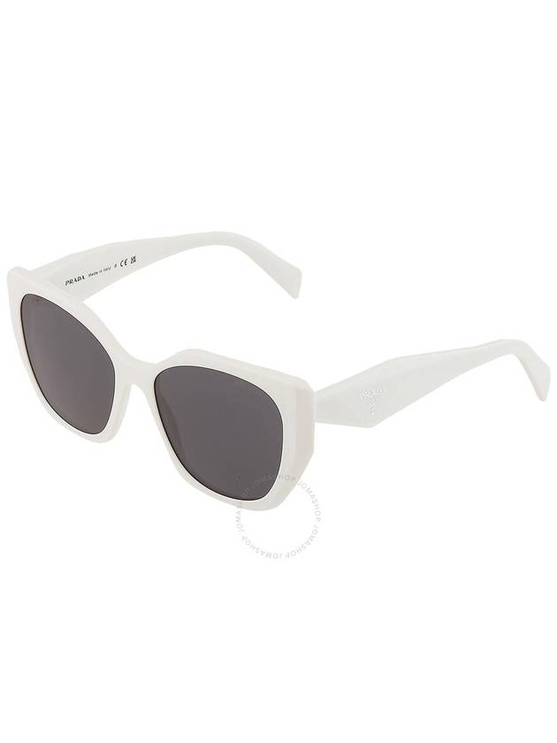 23 ss Oversized ROUNDED Cat Eye Sunglasses 0PR 19ZS 1425S055 B0110821706 - PRADA - BALAAN 4