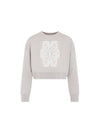 Sir Cropped Virgin Wool Knit Top Light Grey - MAX MARA - BALAAN 2