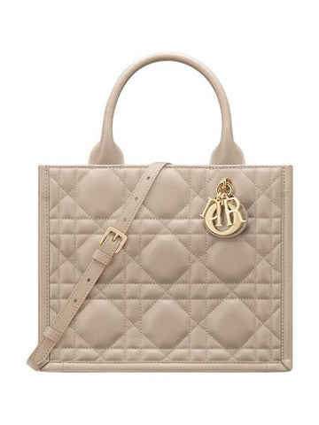 Macrocannage Calfskin Small Book Tote Bag Powder Beige - DIOR - BALAAN 1