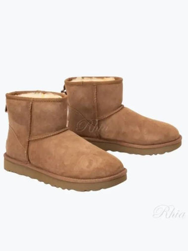 Women s Classic Mini Boots Shoes 1016222 CHESTNUT - UGG - BALAAN 1