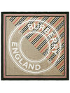 Check Stripe Graphic Logo Scarf - BURBERRY - BALAAN.