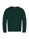 Embroidered Pony Logo Crew Neck Knit Top Mos Agate - POLO RALPH LAUREN - BALAAN 1