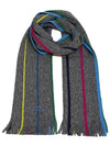 Sports Stripe Muffler M2A 150F L548 79 - PAUL SMITH - BALAAN 2