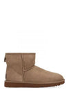 Classic Mini 2 Winter Boots Chestnut - UGG - BALAAN 2