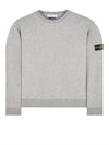 Wappen Patch Garment Dyed Sweatshirt Grey - STONE ISLAND - BALAAN 2