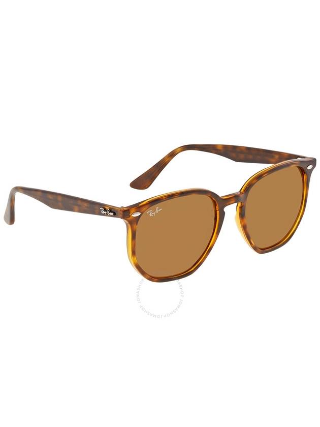 Ray Ban Brown Classic B-15 Hexagonal Unisex Sunglasses RB4306 710/73 54 - RAY-BAN - BALAAN 2