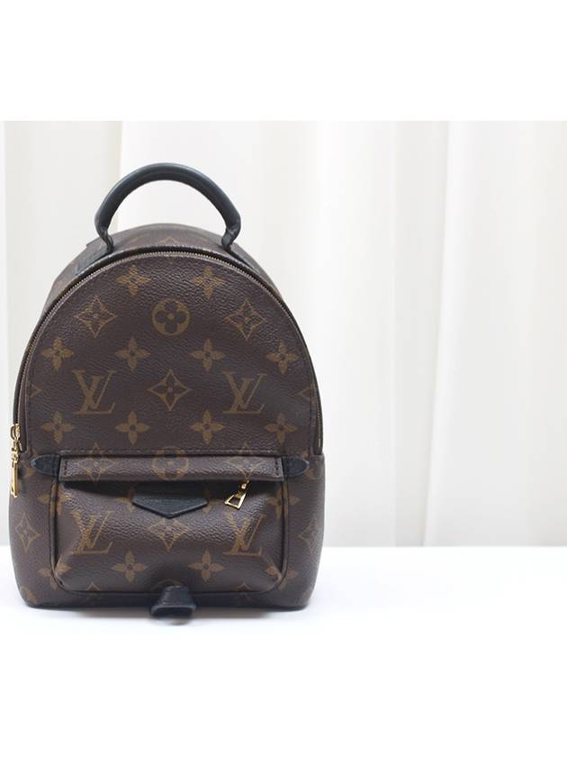 Used Luxury Daall Palm Springs Backpack Mini Monogram M44873 - LOUIS VUITTON - BALAAN 1