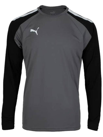 Teampacer Goalkeeper Jersey Long Sleeve T-Shirt Grey - PUMA - BALAAN 1