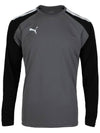 Teampacer Goalkeeper Jersey Long Sleeve T-Shirt Grey - PUMA - BALAAN 4