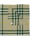 Vintage Check Wool Scarf Green - BURBERRY - BALAAN 1