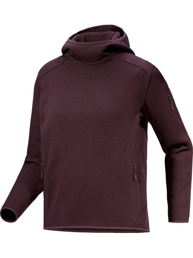 Covert Pullover Hoodie Phantasm - ARC'TERYX - BALAAN 1